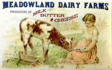 MEADOWLAND DAIRY FARMS SIGN