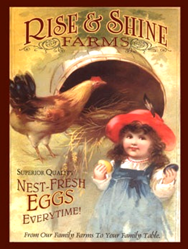 RISE AND SHINE EGGS ENAMEL SIGN