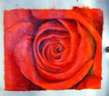 ROSE UP CLOSE OIL PAINTING