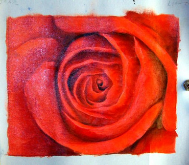 ROSE UP CLOSE OIL PAINTING