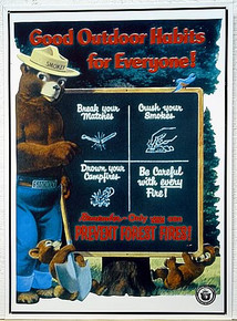 SMOKEY GOOD HABITS PREVENT FOREST FIRE SIGN
