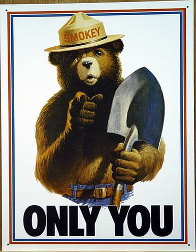 SMOKEY ONLY YOU PREVENT FOREST FIRE SIGN