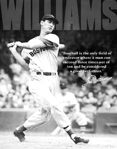 TED WILLIAMS BASEBALL SIGN