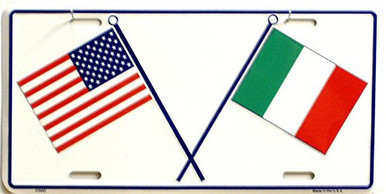 US & ITALIAN LICENSE PLATE