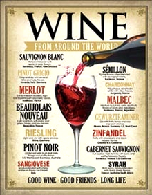 Photo of WINES AROUND THE WORLD A DELIGHTFULL DESCRIPTION OF OVER A DOZEN WINES FROM AROUND THE WORLD