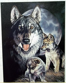 Photo of WOLF EXPERIENCE THE WOLF AS A PUP, YEARLING AND ADULT ARE BEAUTIFULLY DETAILED WITH THE FULL MOON IN THE BACKGROUND