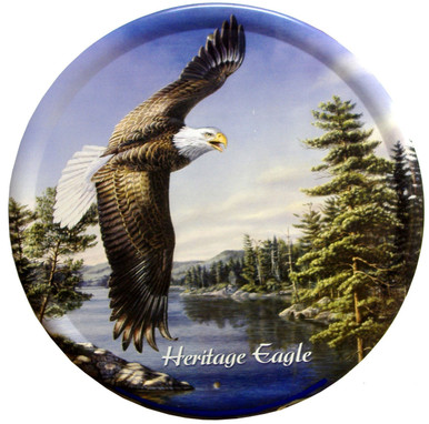 Magnificent Eagle with great detail and rich outdoor colors.