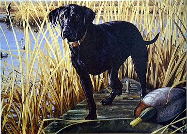 Photo of BLACK LAB ON BOAT HUNTING SIGN