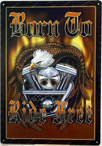 Photo of BORN TO RIDE MOTORCYCLE SIGN WITH RICH COLOR AND GREAT DETAILS