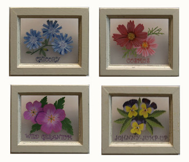 SET OF FOUR FLOWER PICTURES EACH MEASURING 6" X 5" X 1/2"
THE FLOWERS ARE PAINTED ON PLEXY-GLASS WITH A WOOD FRAME
PAINTINGS OF: CHICORY, COSMOS, JOHNNY-JUMP-UP, WILD GERANIUM