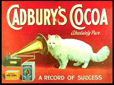 Photo of CADBURY COCOA CAT RICH ENAMEL FINISH