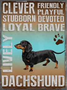 DACHSHUND ENAMEL SIGN MEASURES 12" X 16" AND HAS HOLES IN EACH CORNER FOR EASY MOUNTING GREAT COLORS AND DURABLE ENAMEL FINISH MAKE THIS SIGN A MUST HAVE FOR DACHSHUND LOVERS.