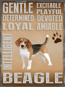 BEAGLE ENAMEL SIGN MEASURES 12" X 16" AND HAS HOLES IN EACH CORNER FOR EASY MOUNTING GREAT COLORS AND DURABLE ENAMEL FINISH MAKE THIS SIGN A MUST HAVE FOR BEAGLE LOVERS.