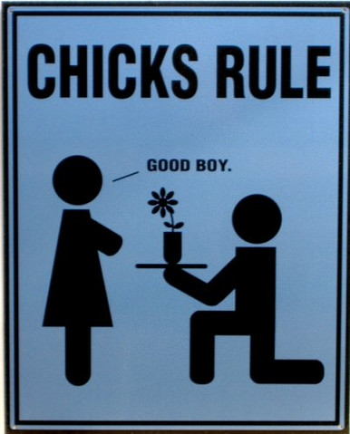 Photo of CHICKS RULE HUMOUROUS SIGN