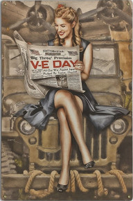 ONE DOWN, ONE TO GO, V-E DAY VINTAGE AIR FORCE METAL SIGN S/O*