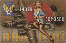 UNDER EXPOSED MITCHELL NOSE ART VINTAGE AIR FORCE BIRCH WOOD PRINT S/O*