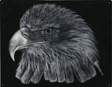 BLACK & WHITE FIREFIGHTER EAGLE METAL SIGN S/O*