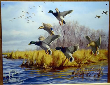 Photo of DUCKS UNLIMITED SIGN,  GOOD AS HOME SHOWS MALLARDS GETTING READY TO LAND IN THE WATER, GREAT COLOR AND SUPER DETAIL