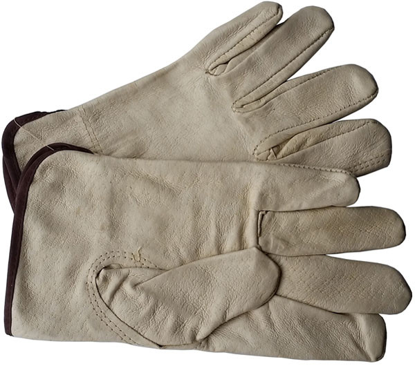 Unlined Pigskin Driver Leather Work Gloves Sold by Dozen 