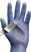 Best N-Dex Disposable 4 Mil Powder Free Nitrile Gloves Pic 1