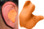 Radians Custom Molded Ear Plugs Orange Color # CEP001-O pic 1