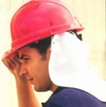 ERB Cloth Neck Shields for Hard Hats pic 1