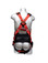 Eagle Harness Medium Size - Back View
