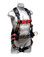 Iron Eagle Harness Small Size - Back View