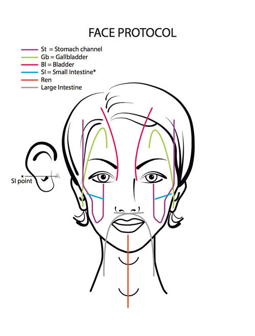 Facial Rejuvenation Acupuncture Points Chart