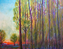 Spring
Original acrylic painting by Ken Muenzenmayer
Picture Image 11" x 14"
Framed in a black plein air frame
Frame image 17" x 20"