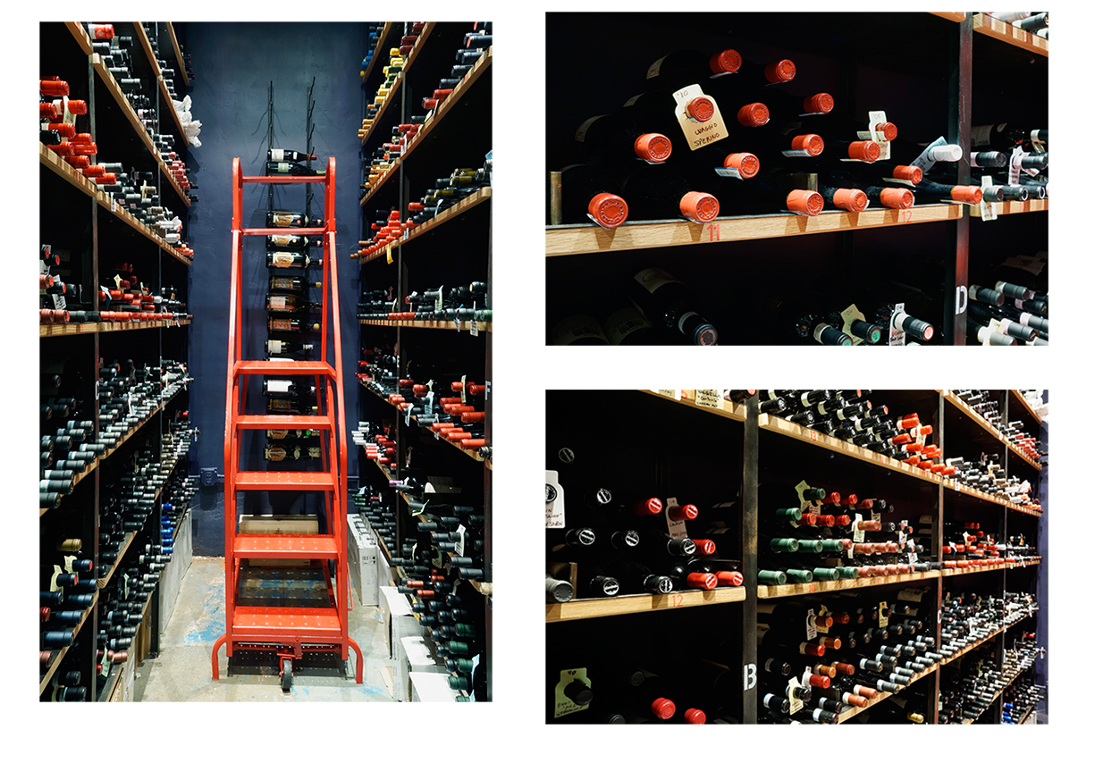 terroni-collage-4.jpg