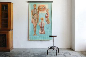 SOLD - Vintage Anatomy Chart, Topology of Organs,1965