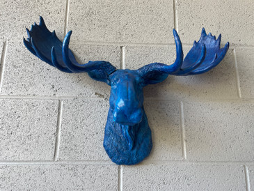 SOLD - Faux Moose Head Wall Mount in Electric Blue 
