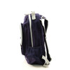 Dinosaur Backpack for Kids 