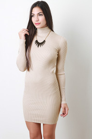 Ribbed Turtleneck Dress