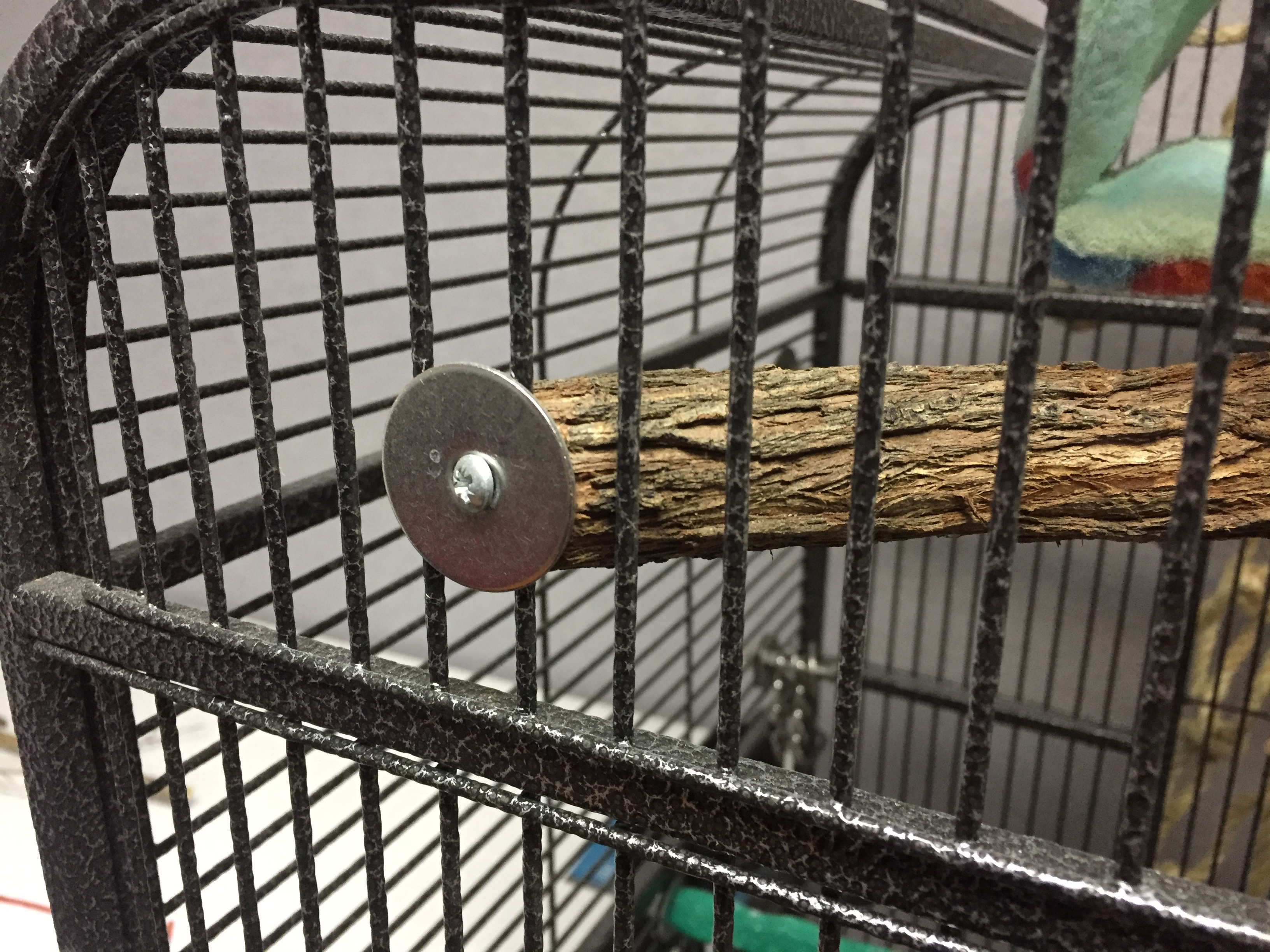 HomeMade Natural Perches My Parrot Shop