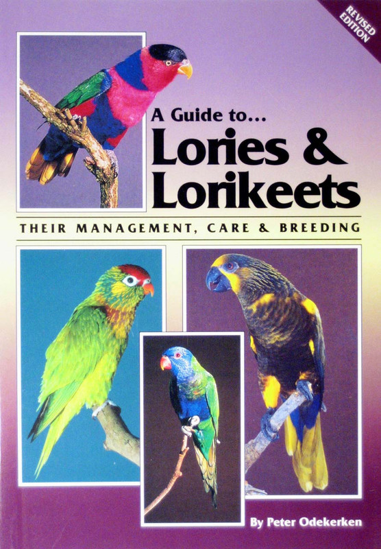 Cover of the book: ABK Lories and Lorikeets