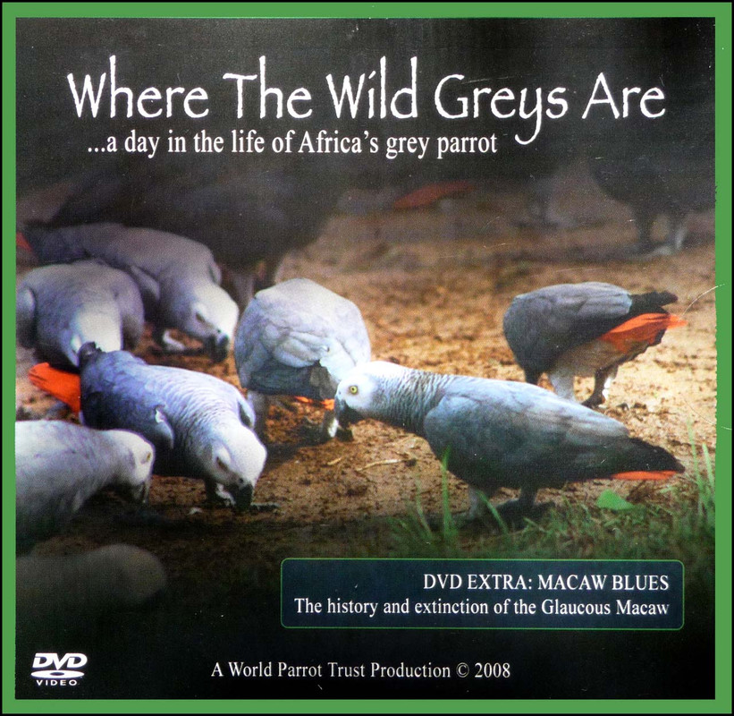 Cover of the book: DVD - Where the Wild Greys Are