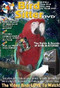 Cover of the book: DVD - Bird Sitter