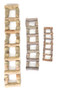 Natural ladder showing small, medium and large