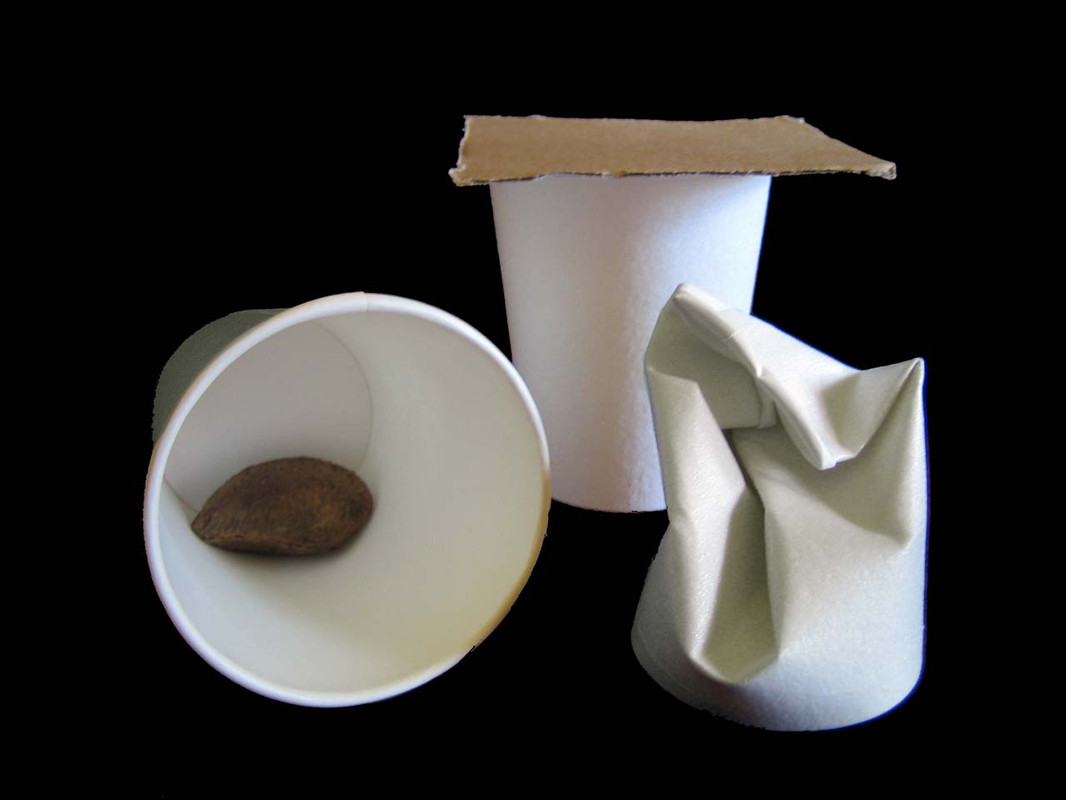 Foraging Paper Cups