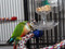 Conure using the Foraging Paddle Wheel
