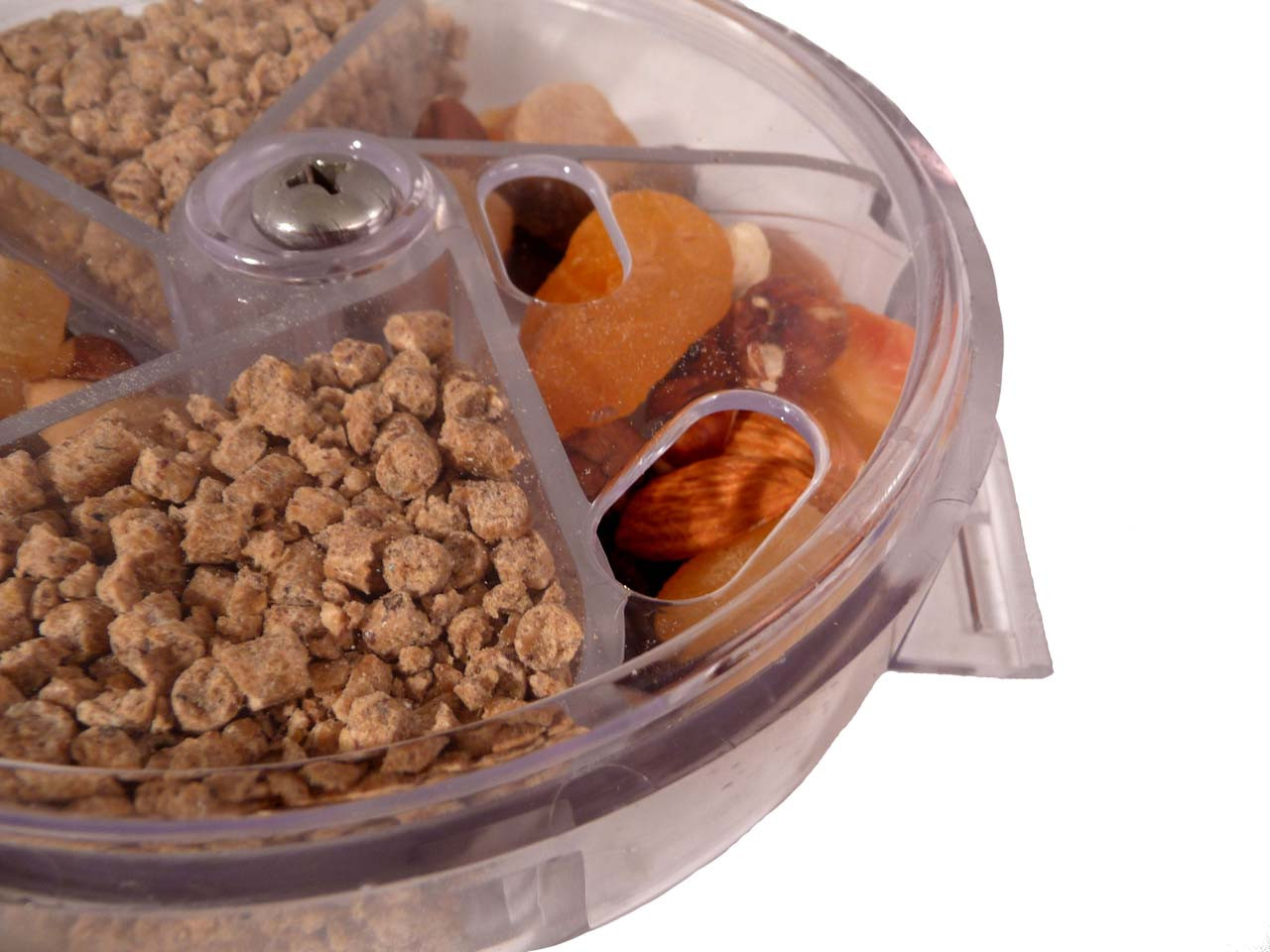 parrot foraging wheel