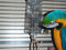 Blue and Gold Macaw using the Tug n Slide Tower foraging toy