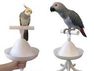 The Percher - one with a cockatiel and the other with an african grey
