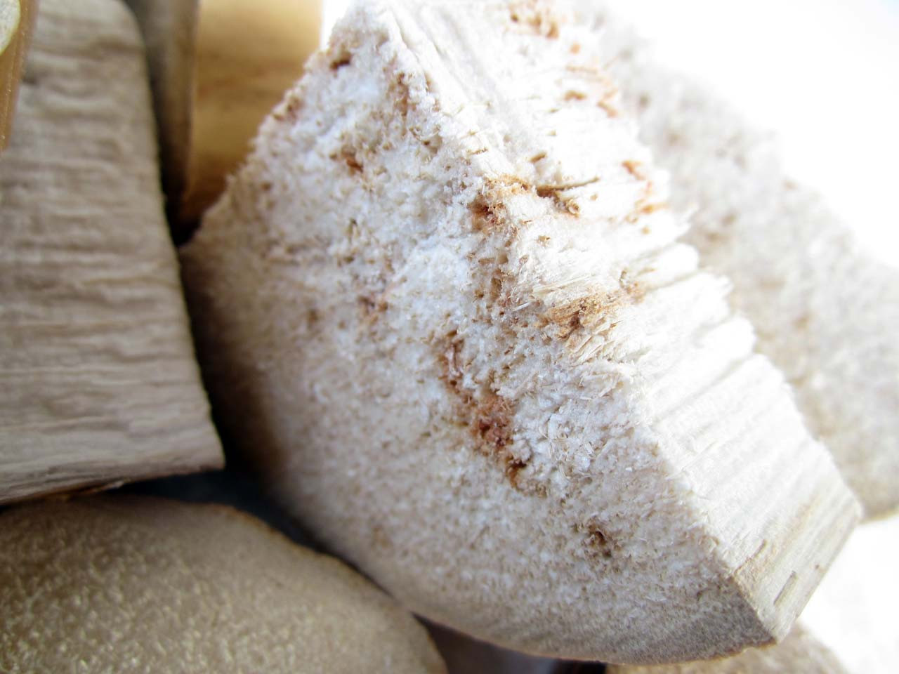 yucca chips for birds