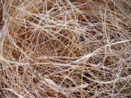 Coconut Fibre