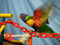 Lorikeet shown with the 6mm Plastic Chain