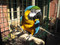 Blue and Gold Macaw on the Extra Large Manu Mineral Perch