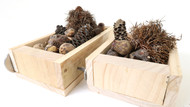 Small and Large Forage Trays with Australian Nuts and Pods